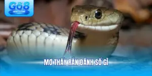 Mơ thấy rắn đánh số gì